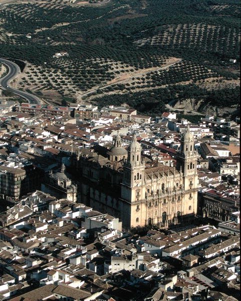 Aerial view of Jaen Cathedral by School Spanish