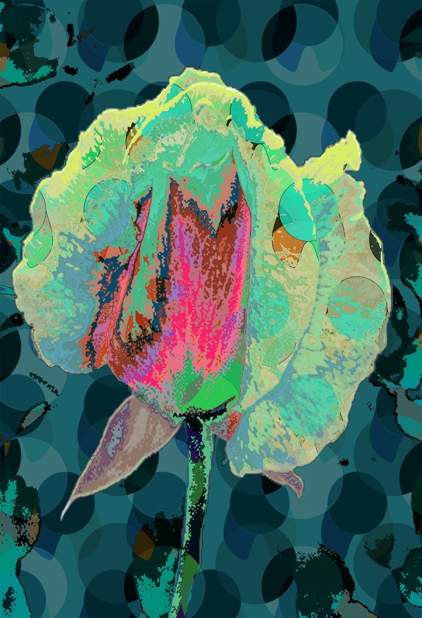 Tea Rose 4 by Scott J. Davis