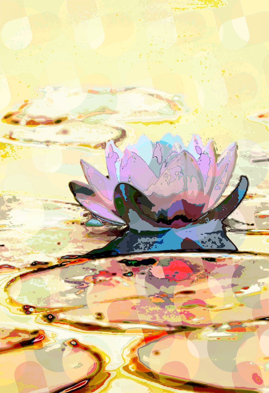 Water Lily by Scott J. Davis