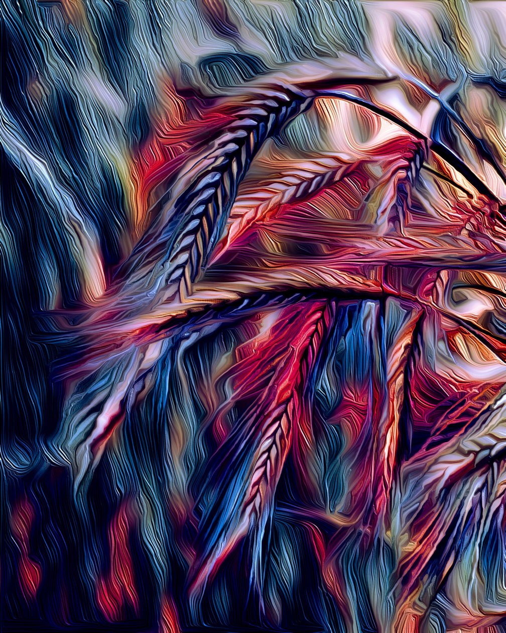 Barley, 2021 by Scott J. Davis