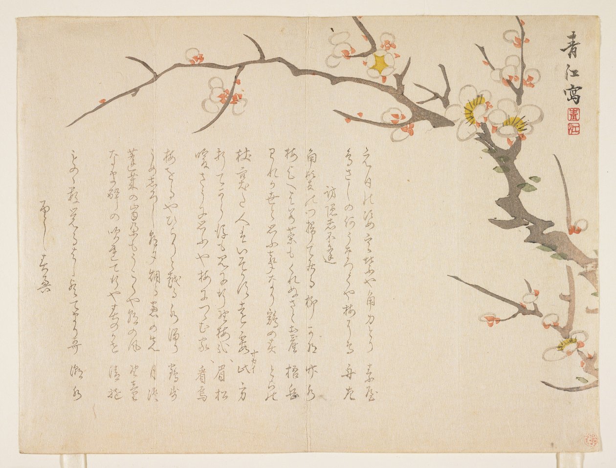 Flowering Plum, January 1837 by Seik Hashimoto