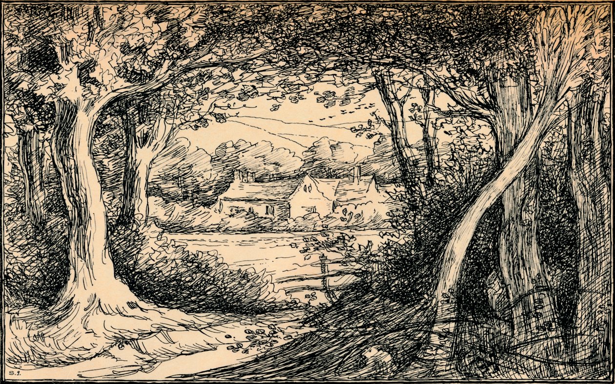 The End of the Glade, Epping Forest by Selwyn Image