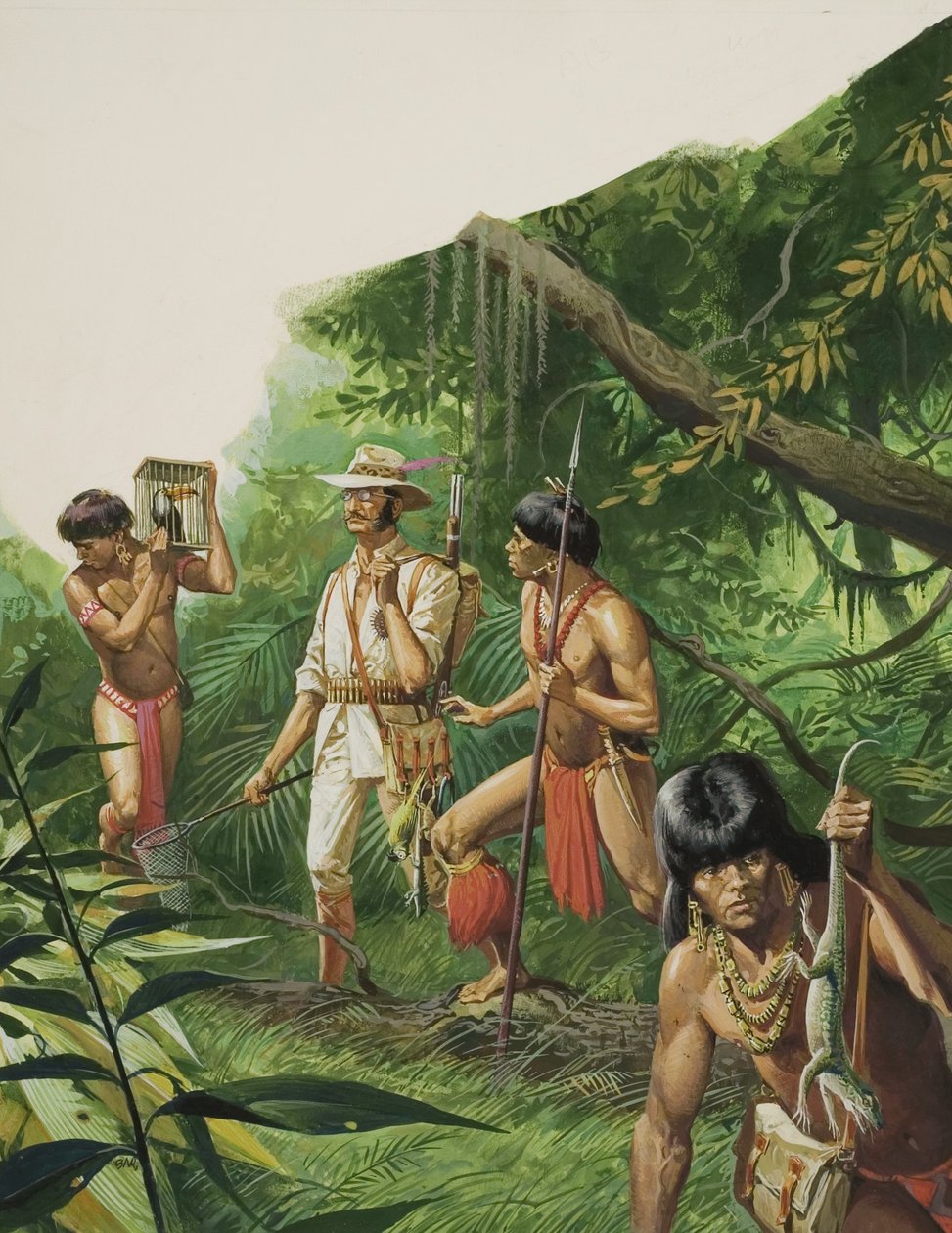 Henry Bates, Explorer of the Amazon Basin by Severino Baraldi