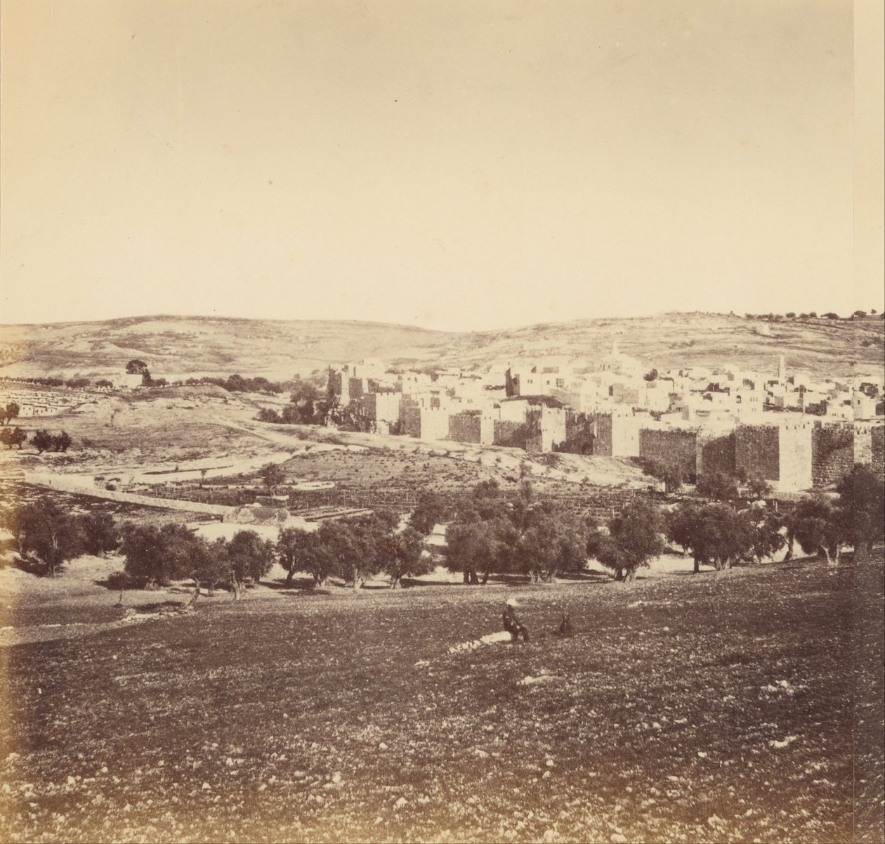 Panoramic View of the City by Sgt. James M. McDonald