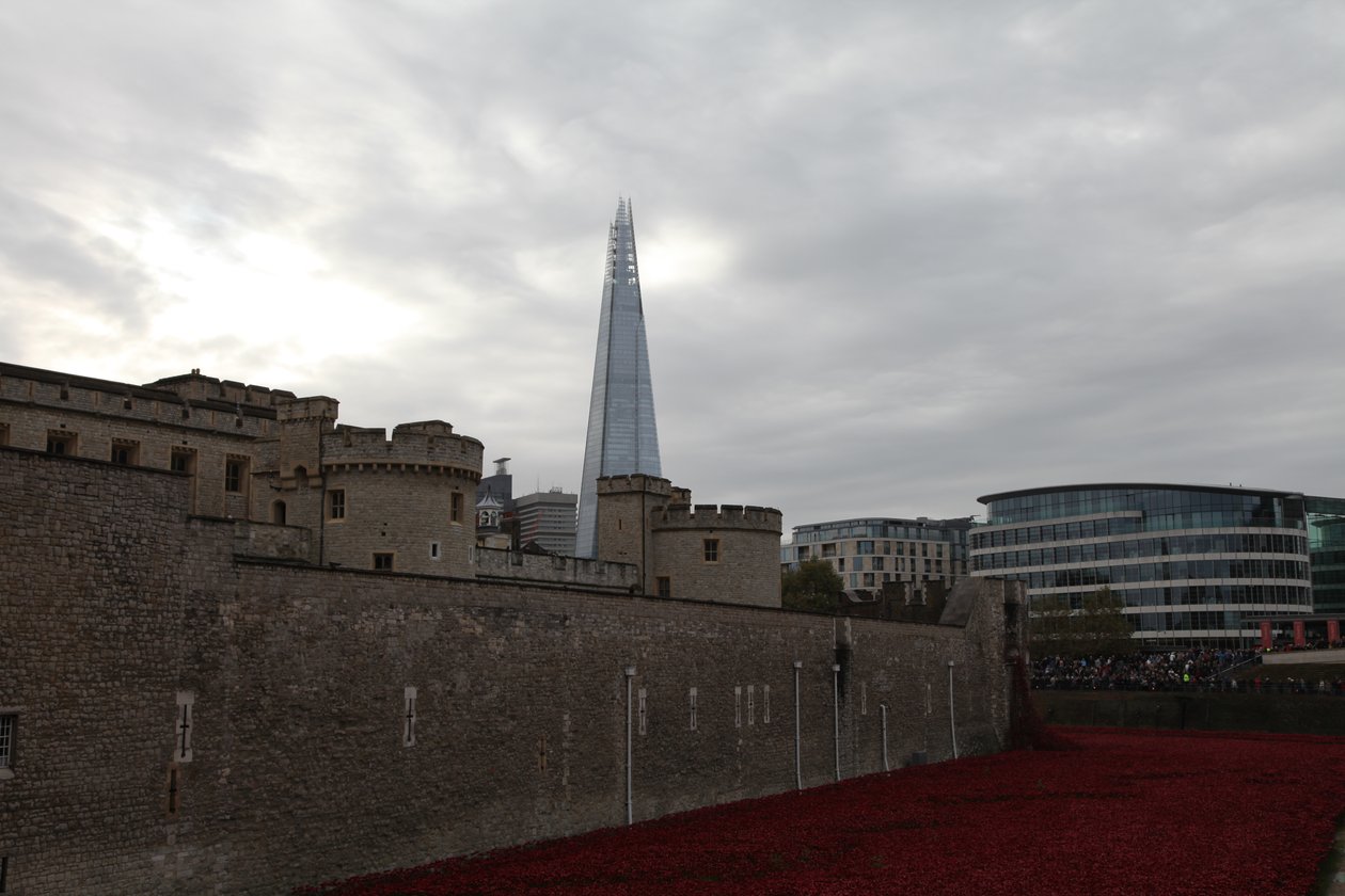 Blood Swept Lands and Seas of Red, Tower of London, 2014 by Sheldon Marshall