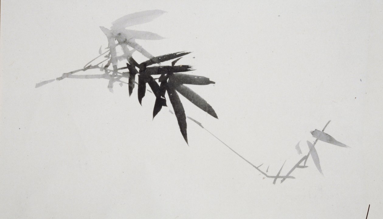 Flower Studies by Shibata Zeshin