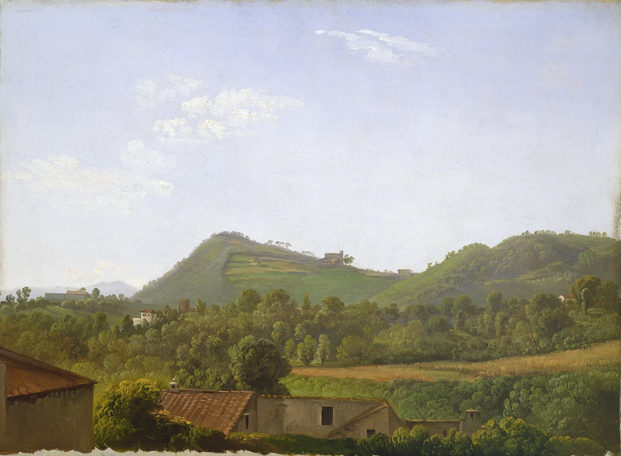 View near Naples by Simon Alexandre Clément Denis