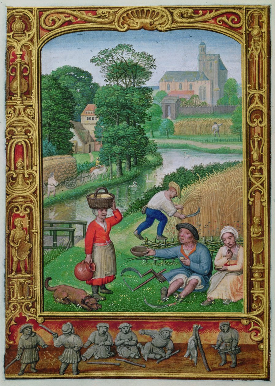 August: Harvesting near a river, from a Book of Hours, or the Golf Book, c.1520-30 by Simon (workshop of) Bening