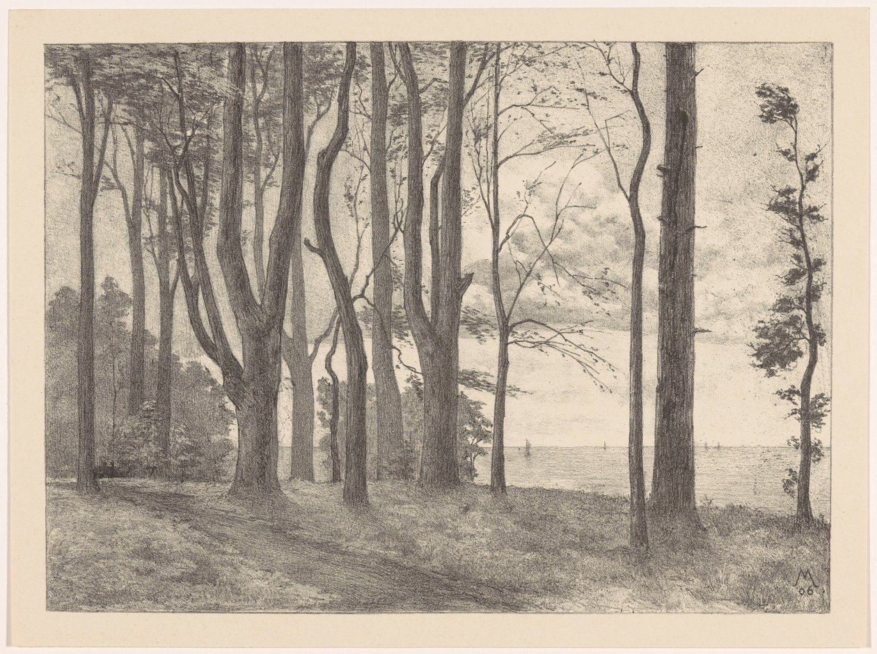 Trees by Water with Sailboats by Simon Moulijn