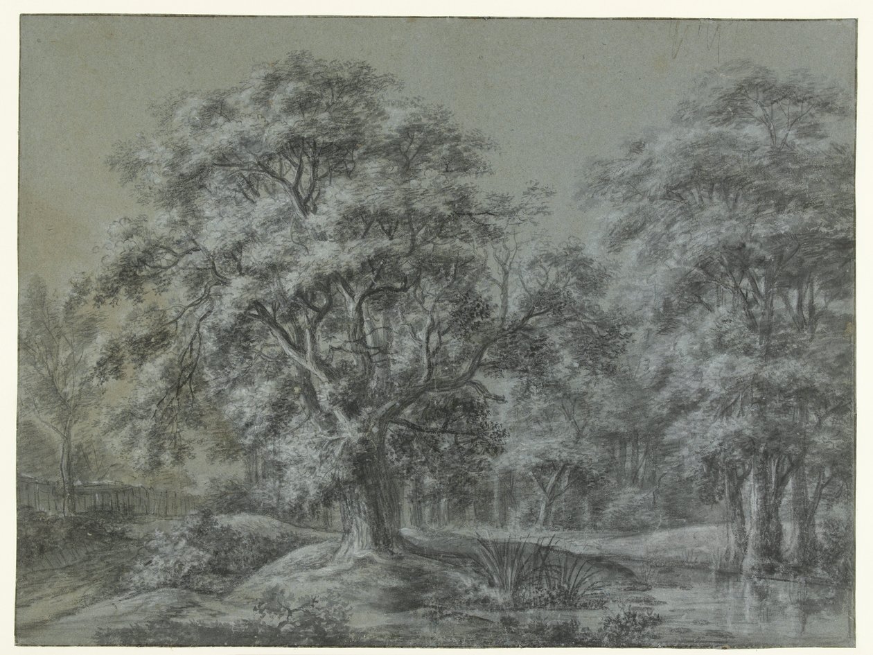 Forest Landscape with Water by Simon de Vlieger