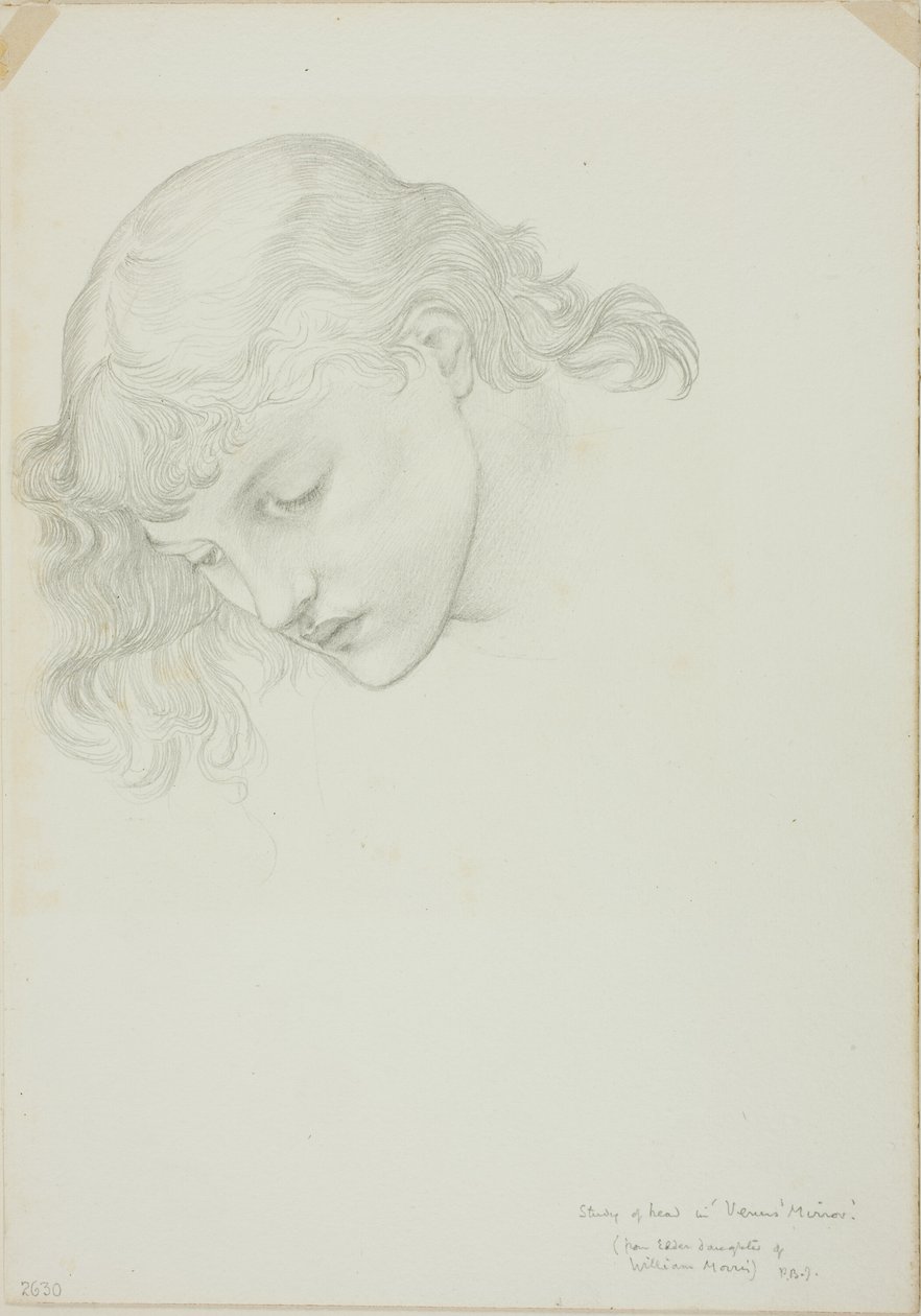 Head, Study for Mirror of Venus by Sir Edward Burne Jones