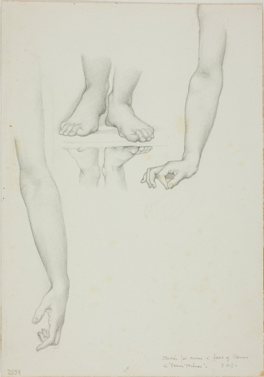 Study for Mirror of Venus: Arms and Feet of Venus by Sir Edward Burne Jones