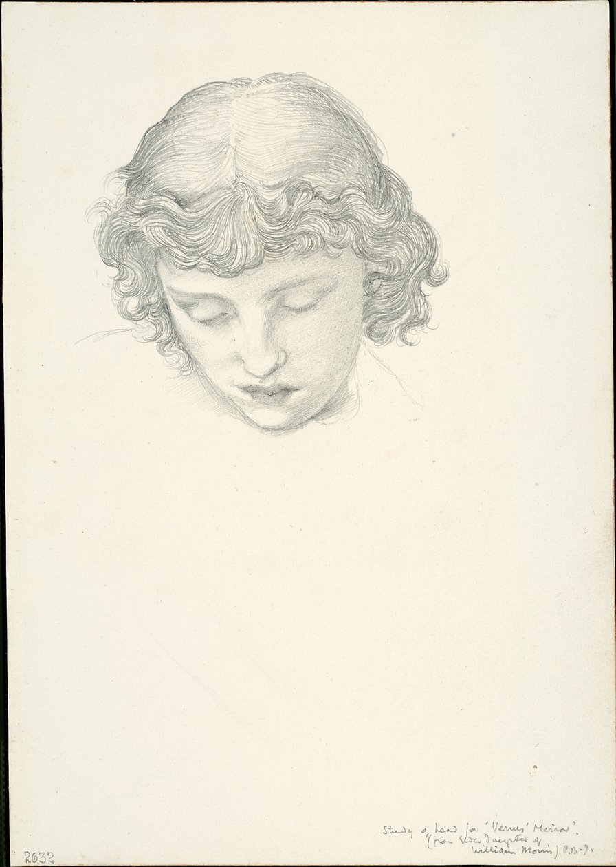 Study for Mirror of Venus: Head by Sir Edward Burne Jones