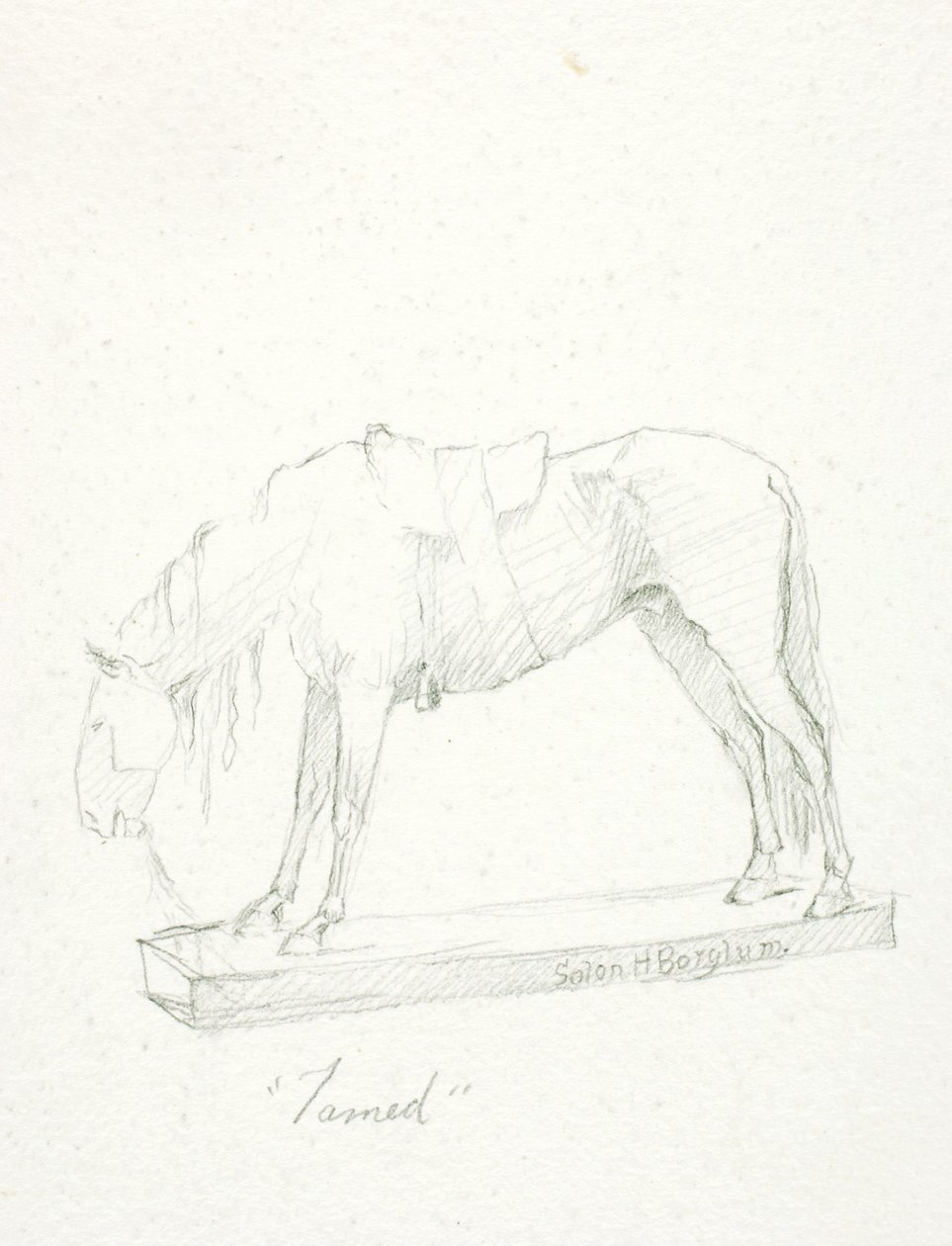 Tamed by Solon H. Borglum