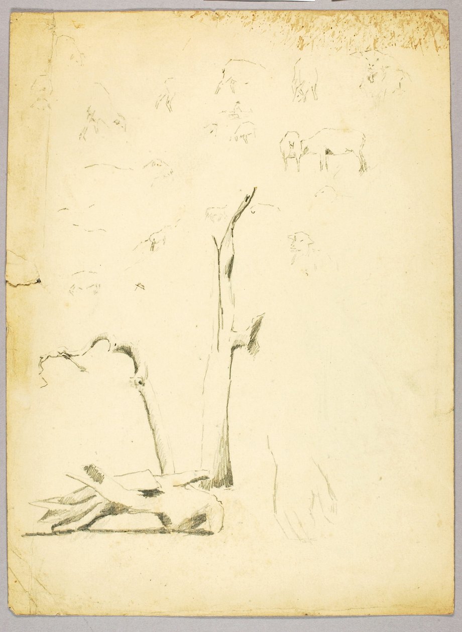 Tree Trunks and Sheep by Solon H. Borglum