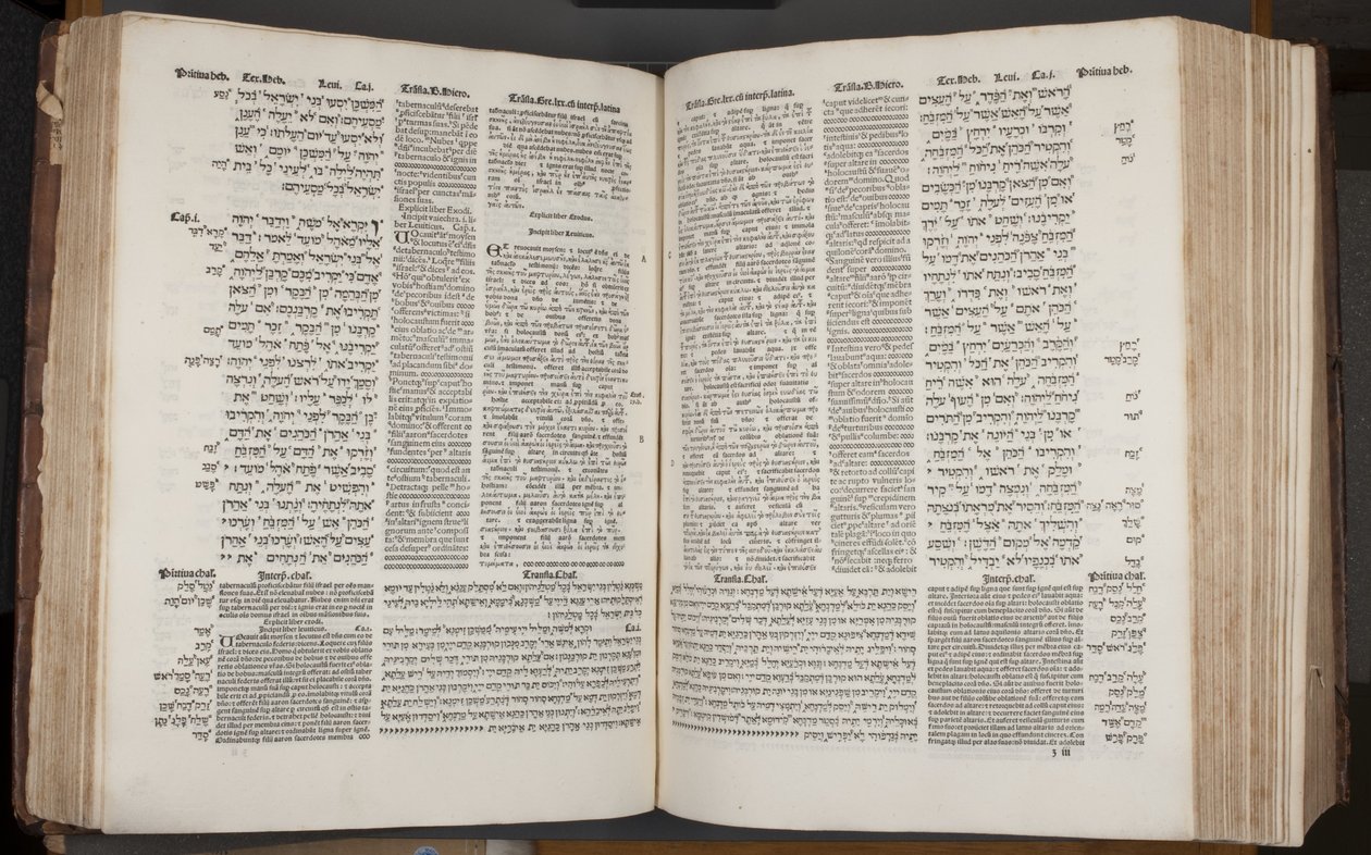 Complutensian Polyglot Bible, printed by Arnao Guillen de Brocar by Spanish School