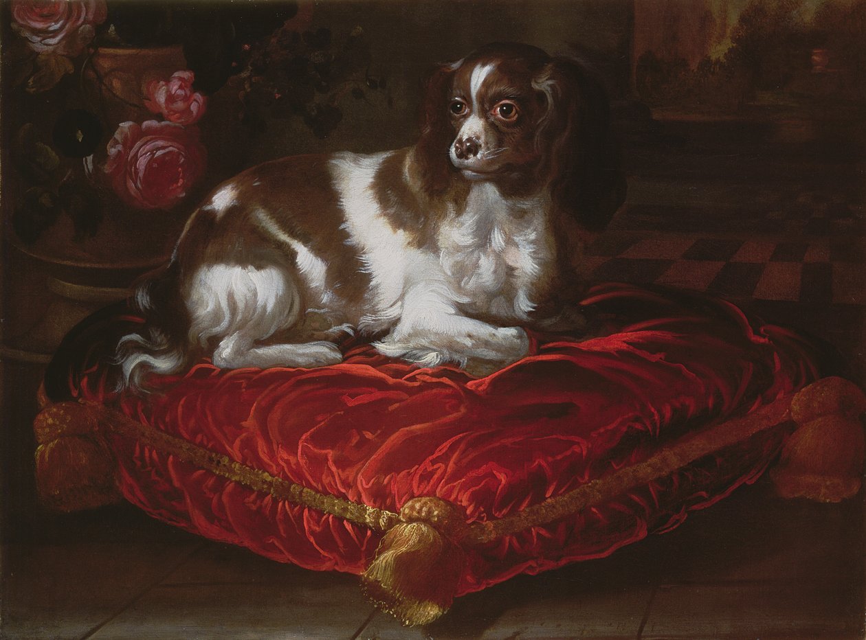 Spaniel on a Cushion by Spanish School