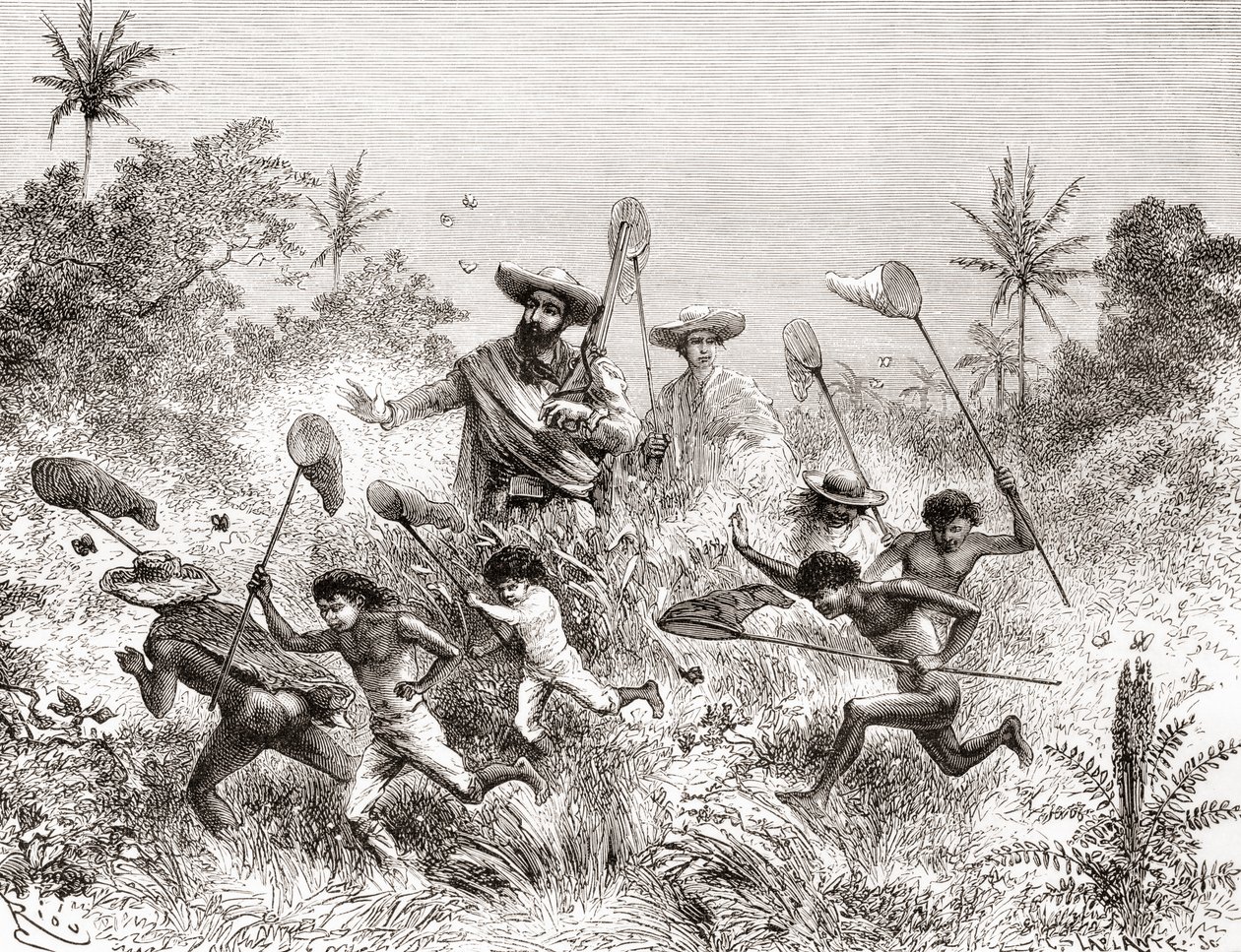 Édouard François André Catching Butterflies in Villavicencio by Spanish School