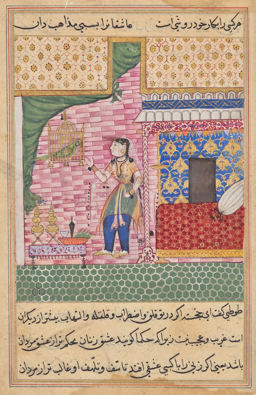 The Parrot Addresses Khujasta at the Beginning of the Seventeenth Night, from a Tuti-nama (Tales of a Parrot) by Sravana
