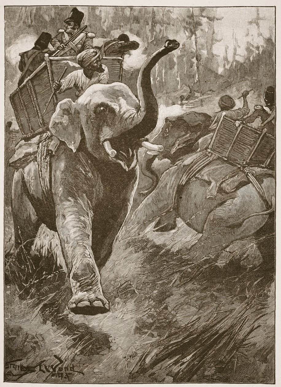 The Frightened Elephants Rushed Back Crashing Through the Forest, Illustration from 