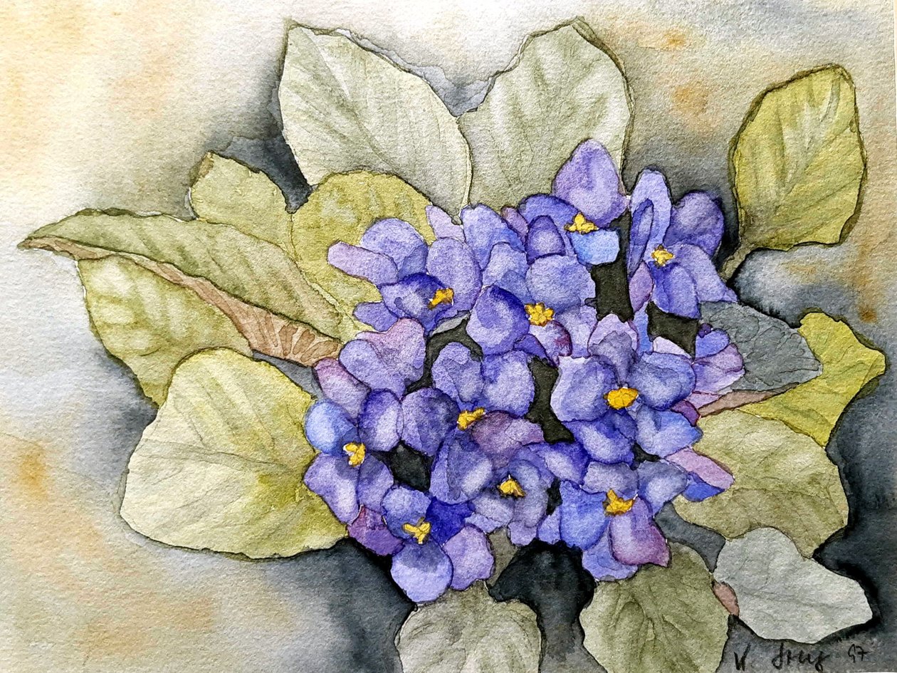 Usambara Violet by Steegs-Art Karin