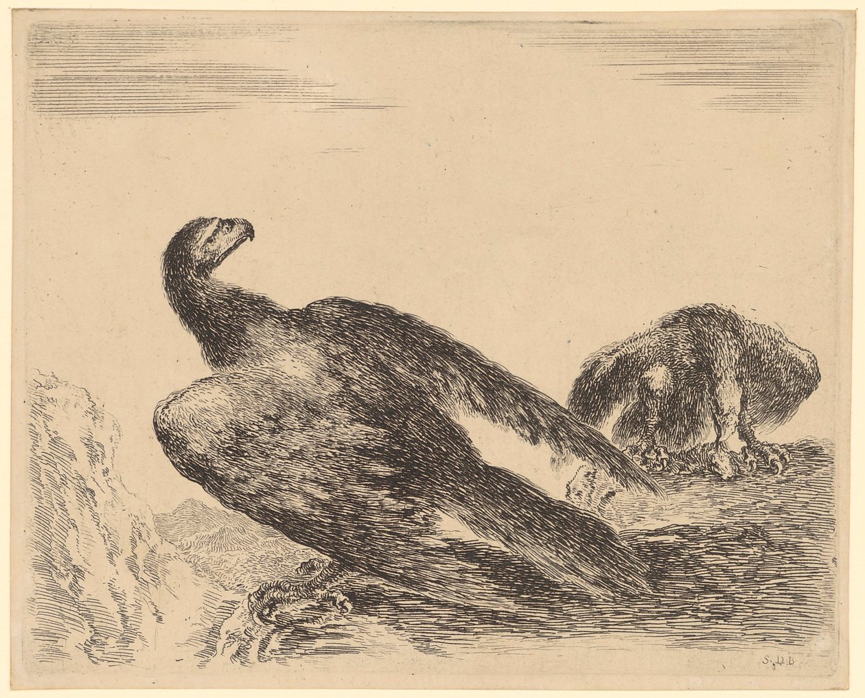Eagle Spreading Wings and Eating, Plate 4 from the Series 