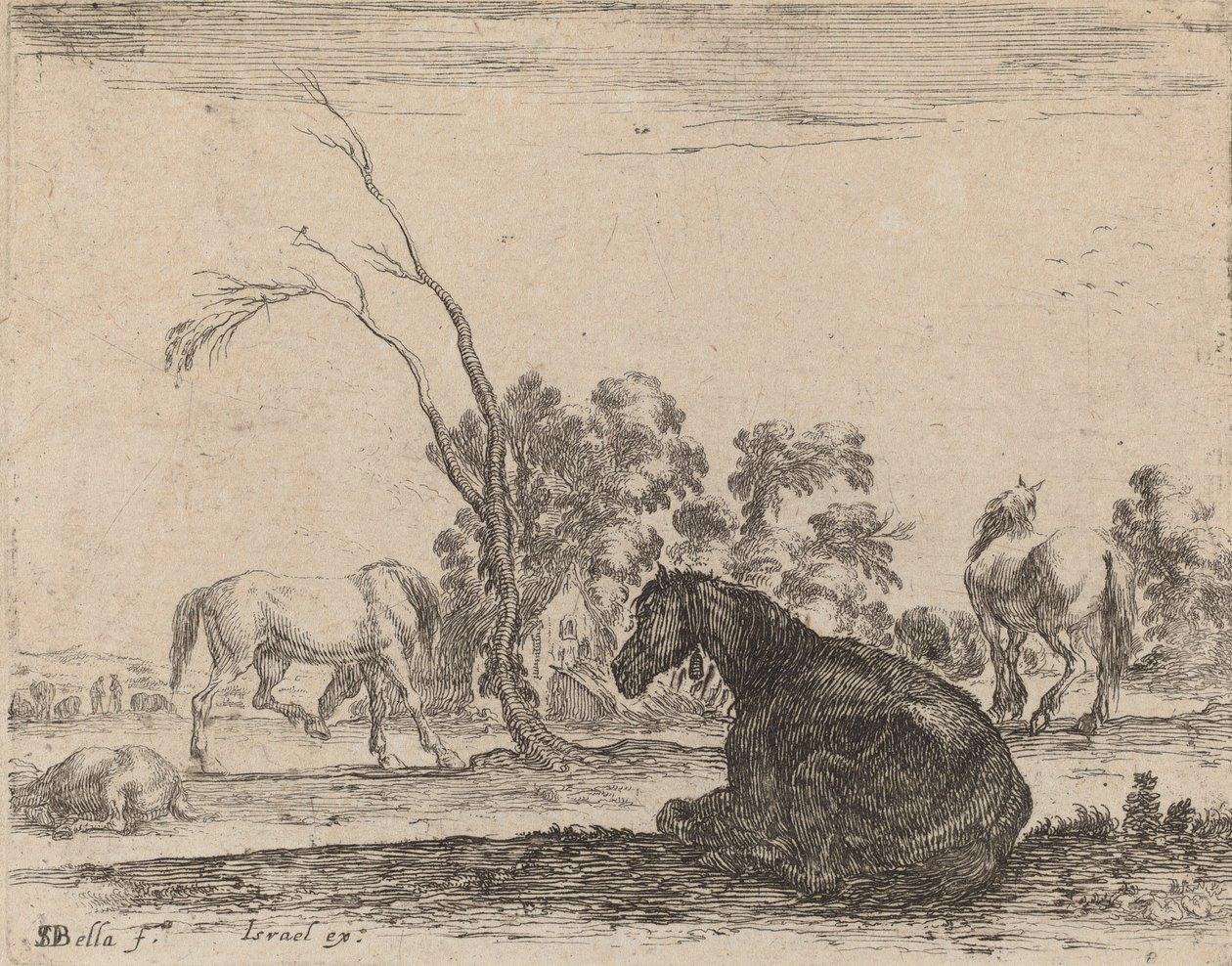 Horses in a Pasture by Stefano della Bella