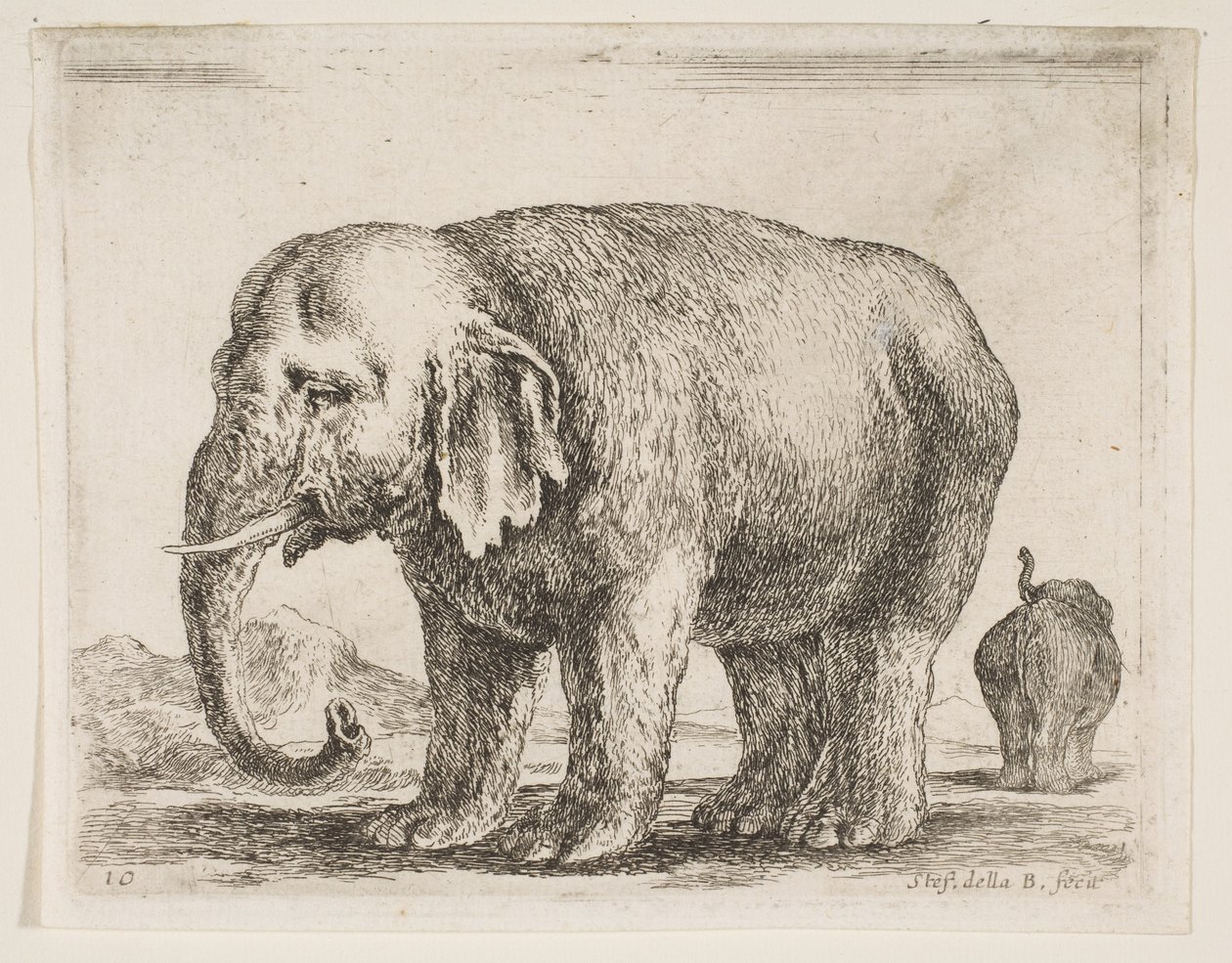 Plate 10: elephant, from Various animals Diversi animali, ca. 1641 by Stefano della Bella