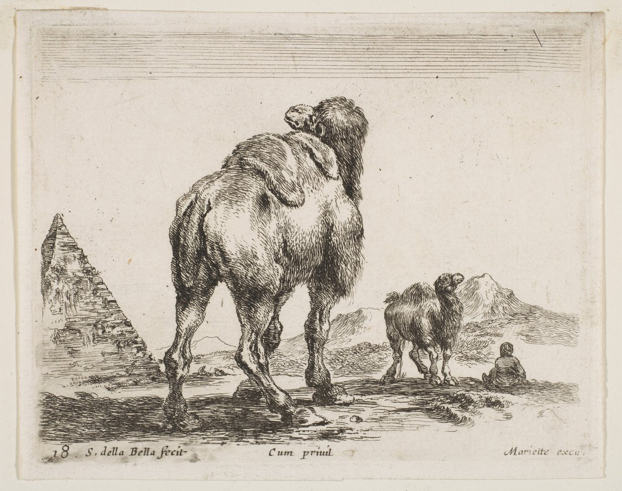 Plate 18: camel viewed from behind with pyramid at left, from Various animals by Stefano della Bella