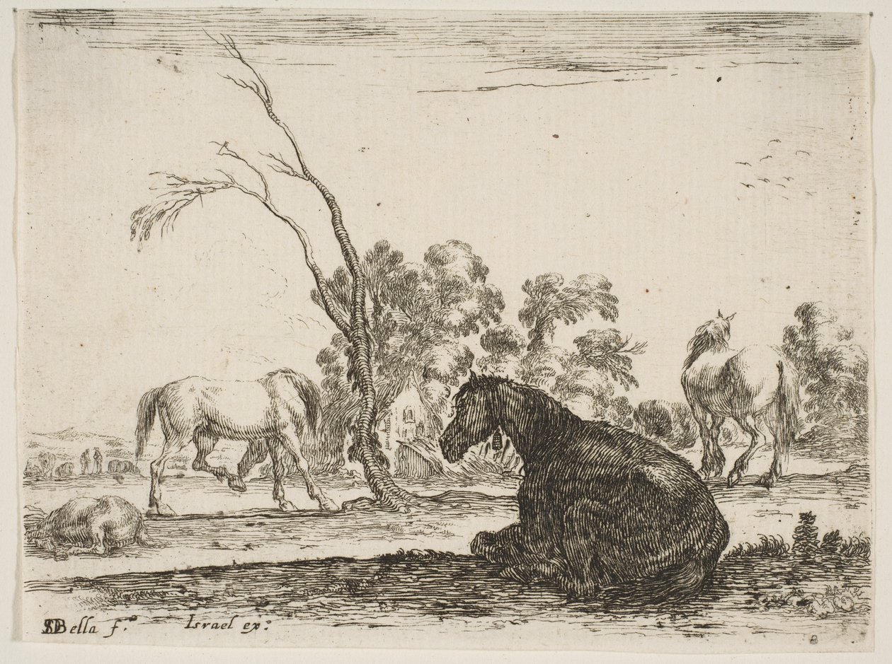Plate 8: a seated horse to right, seen from behind and turned to the left, three other horses in the background by Stefano della Bella