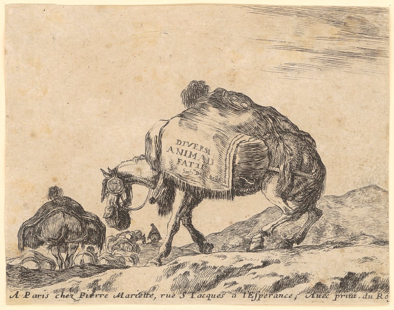 Title Page of the Series "Various Animals" by Stefano della Bella
