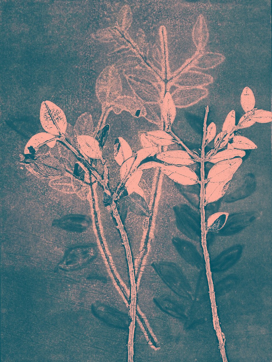 Season VI, 2018 by Stephen Dow