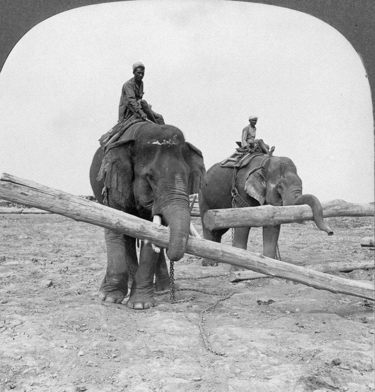 Elephants Working in a Lumber Yard, Rangoon, Burma