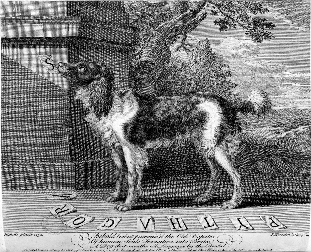 The New Chien Savant, or Learned Dog, print made by F-Morellon la Cave, 1752 by Sutton Nicholls