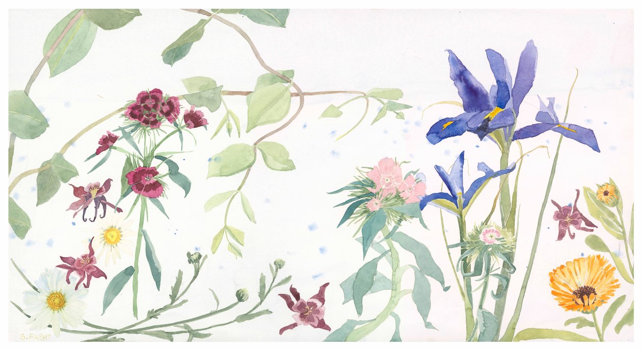 Iris and Sweet Williams, 2020 by Suzy Fasht