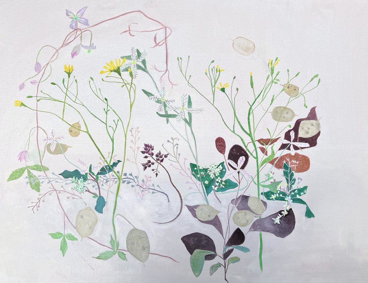 Wild Things, 2024 by Suzy Fasht