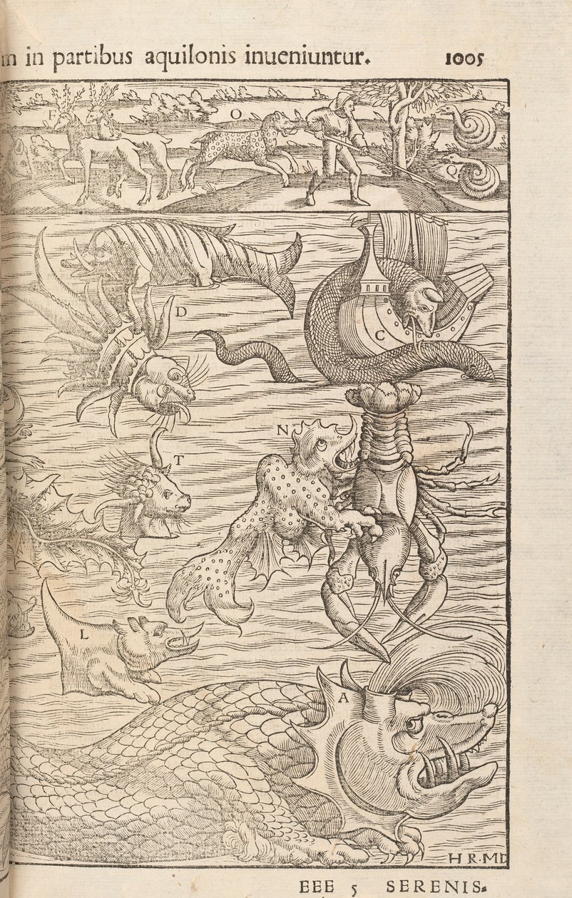 Page 1005 from Cosmographiae Universalis by Sebastian Muenster, Basel, 1572 by Swiss School