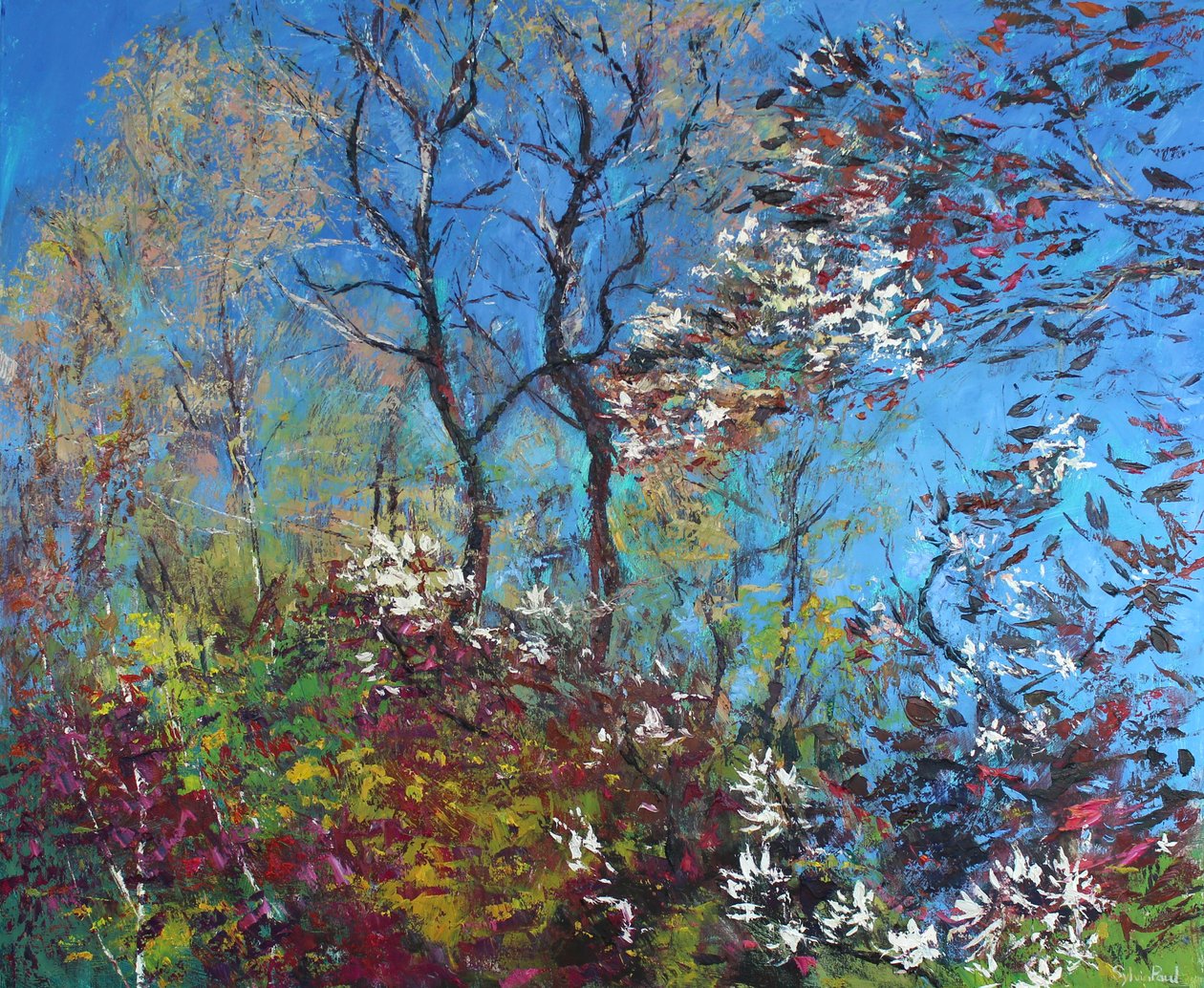 Blossom and Blue Sky by Sylvia Paul