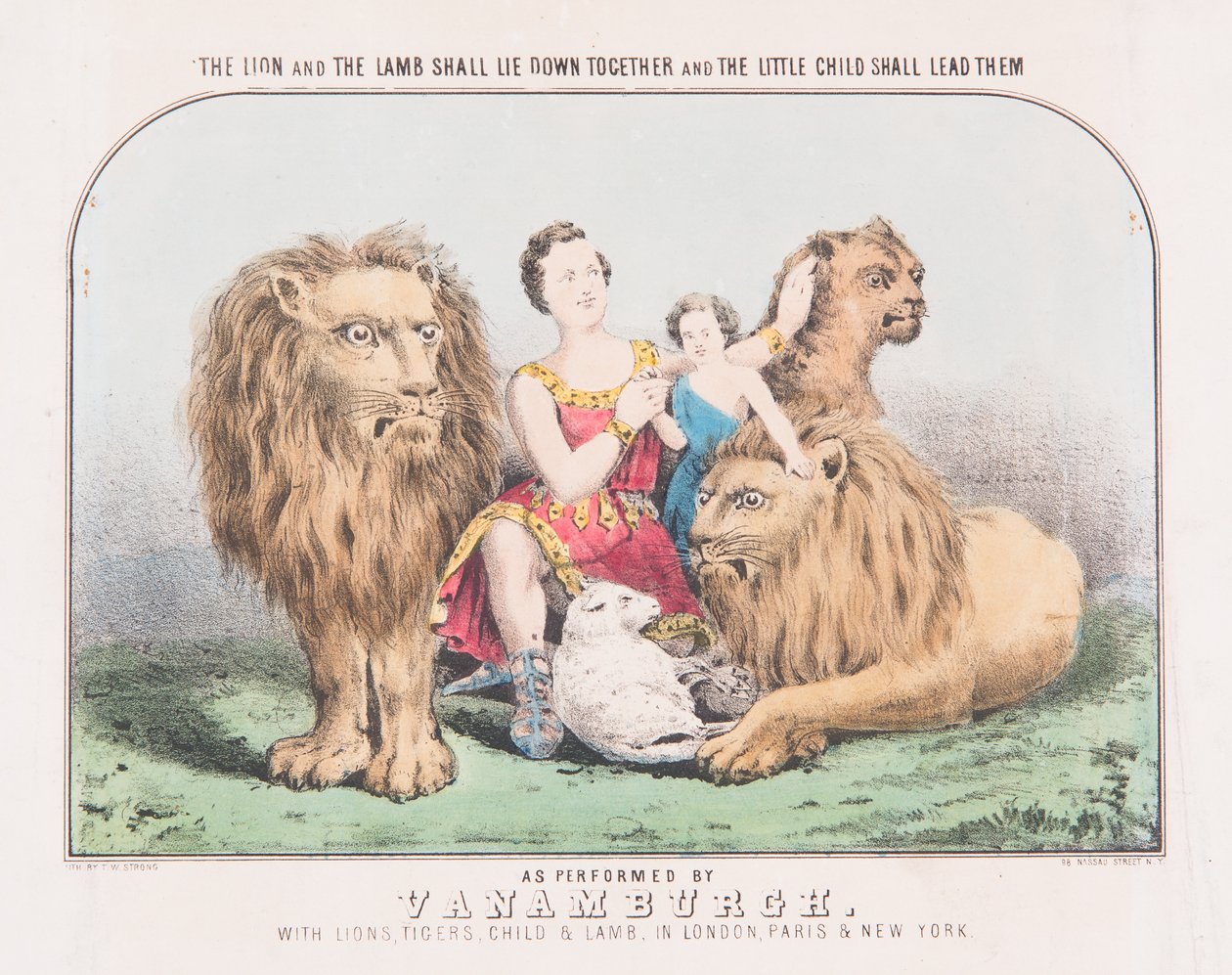 Lion And Lamb Lion Lamb