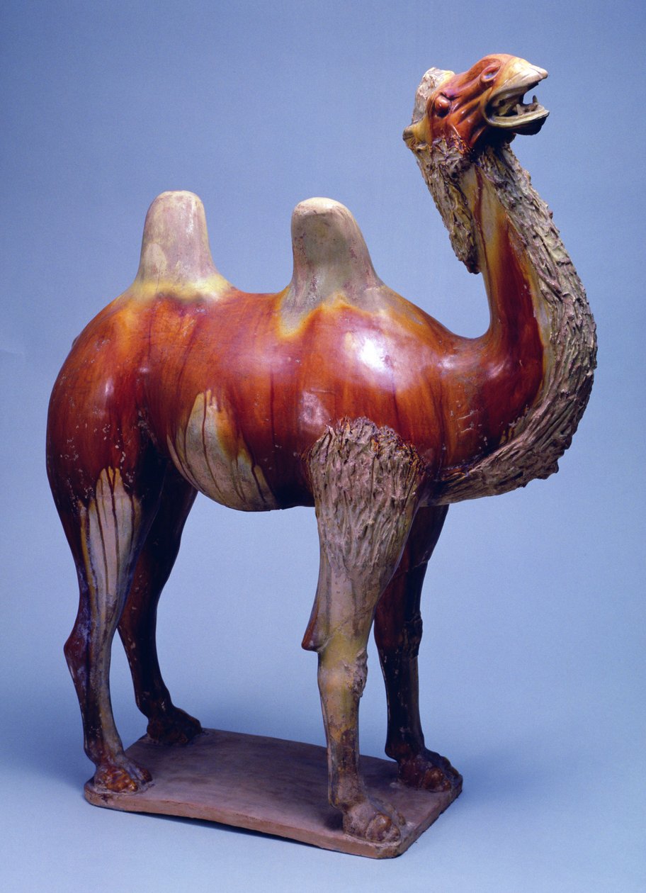 Camel by Tang Dynasty Chinese School