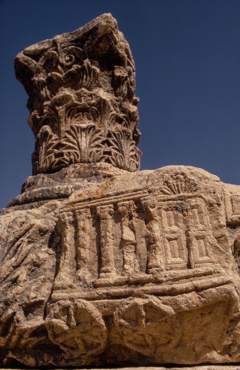 Synagogue Ruins at Capernaum, Israel by Ted Spiegel