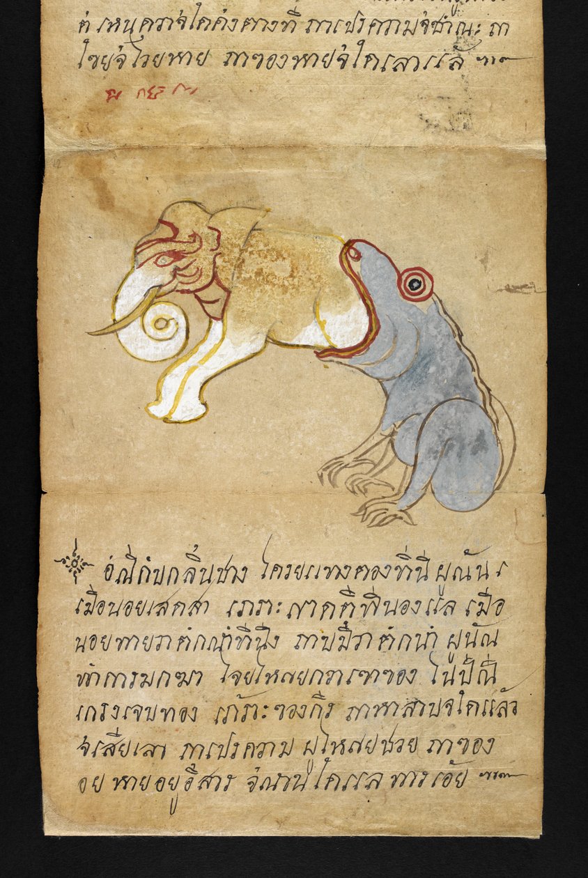 Frog eating an elephant, from 