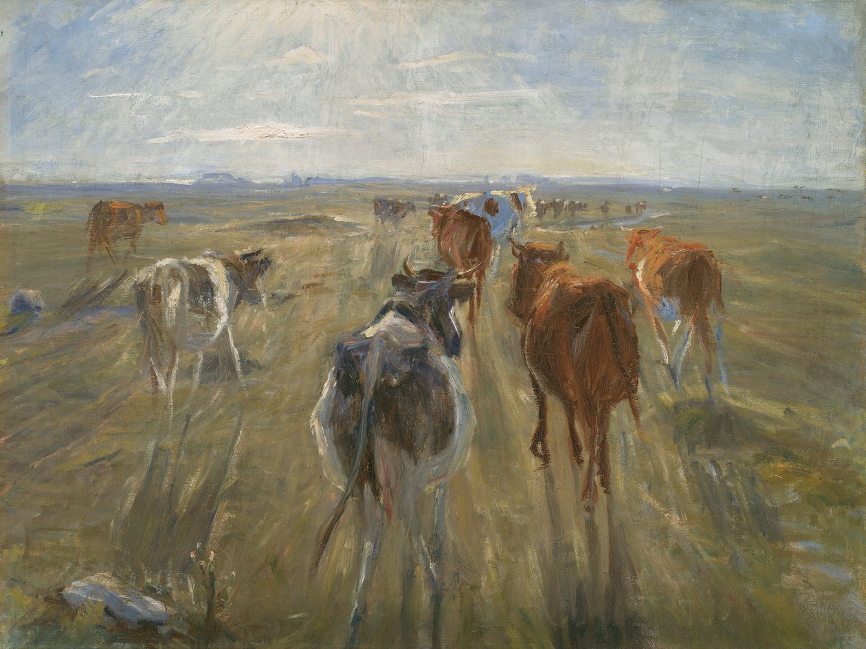 Long Shadows. Cattle on the Island of Saltholm by Theodor Esbern Philipsen