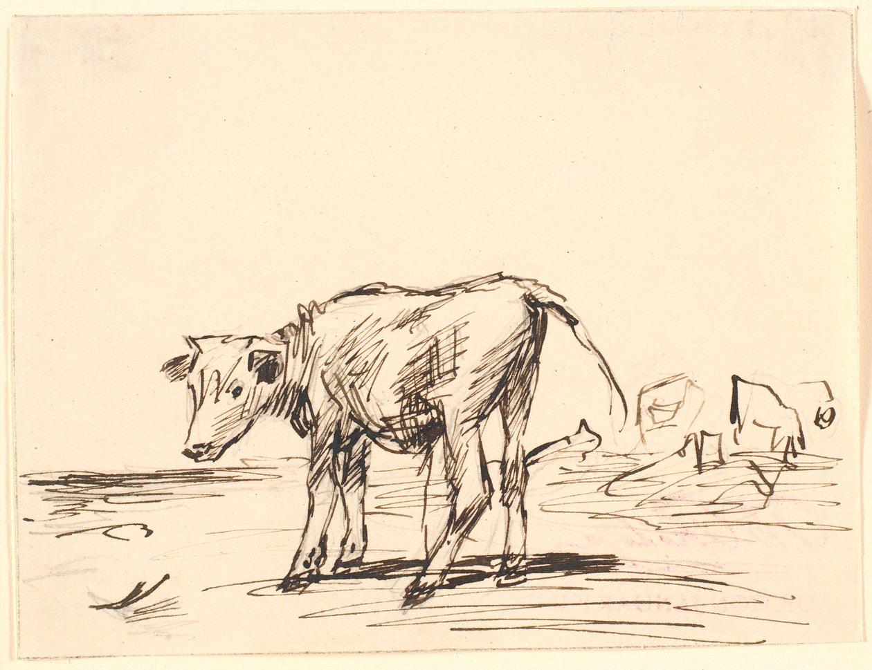 A Bull Calf by Theodor Philipsen