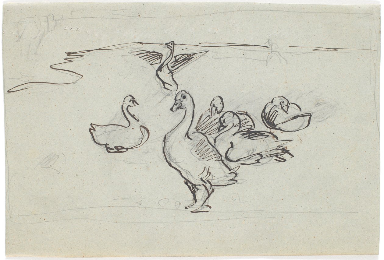 Study of Geese by Theodor Philipsen