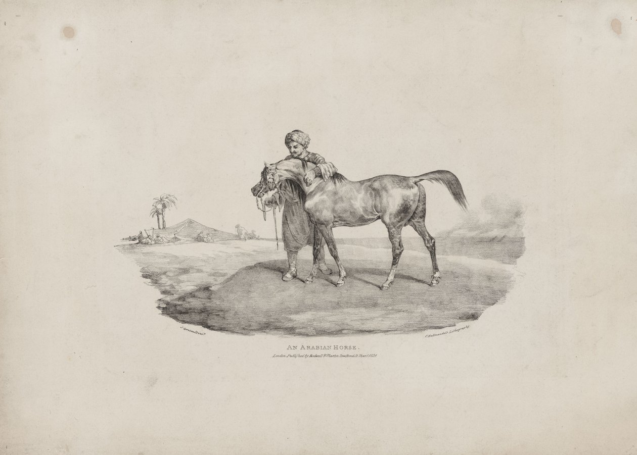 An Arabian Horse by Theodore Gericault