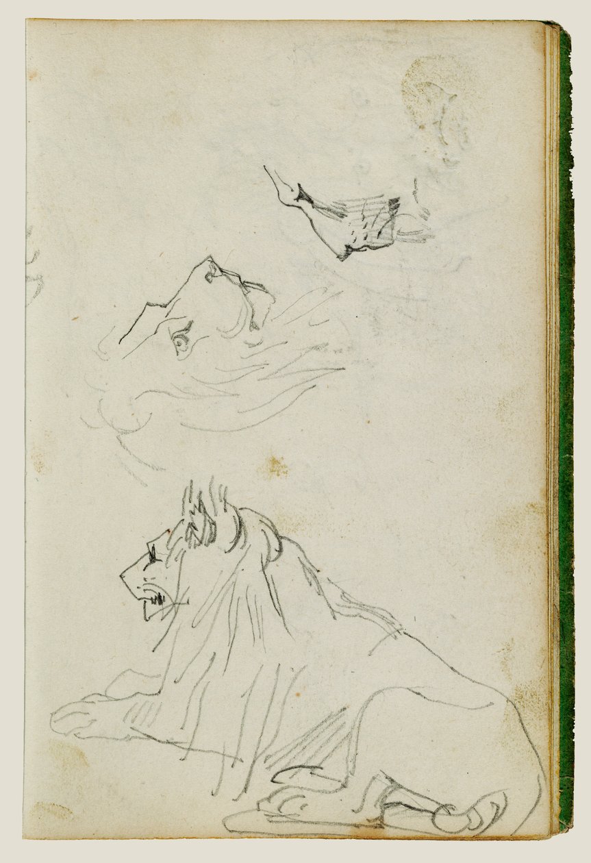 Seated Lion, Two Lion Head Studies by Theodore Gericault