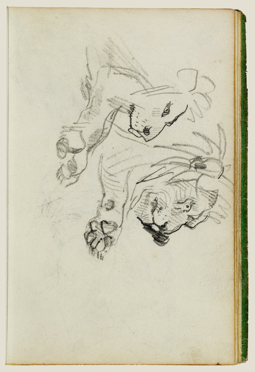 Two Lion Studies by Theodore Gericault