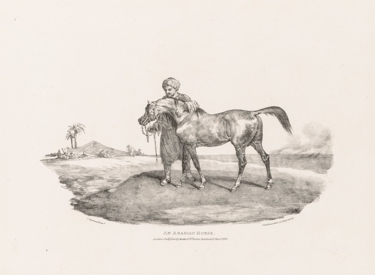 Various Subjects Drawn from Life and on Stone: An Arabian Horse by Theodore Gericault