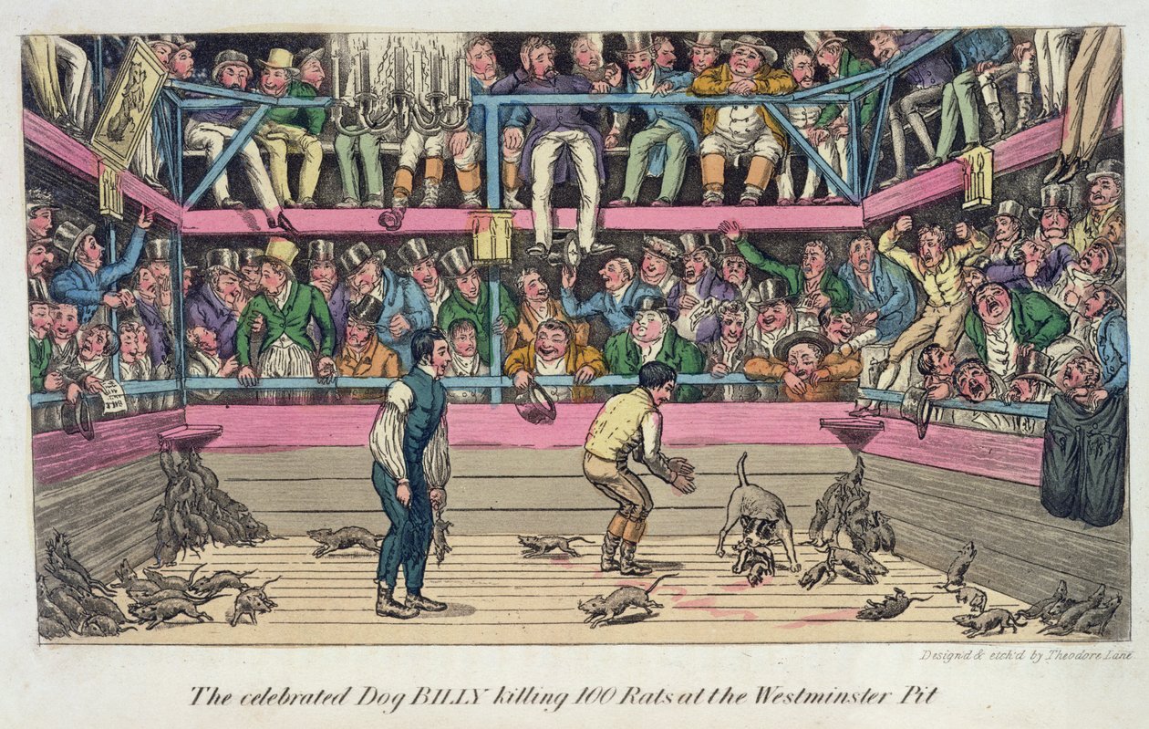 The Celebrated Dog Billy Killing 100 Rats at the Westminster Pit by Theodore Lane